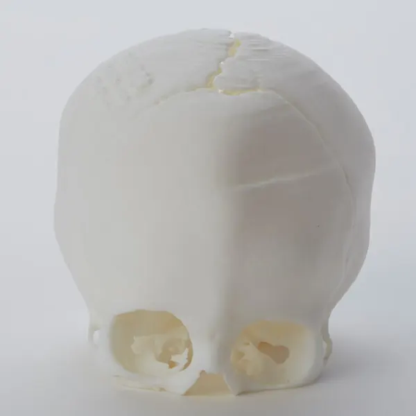 Formlabs Standard Resin White - Image 4